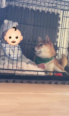 仲睦まじい2人でした！