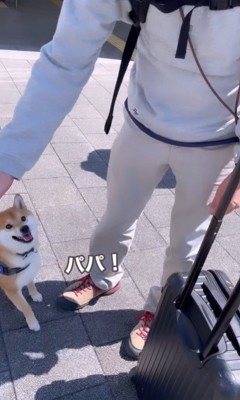 紋次郎くんとお父さんの再会7