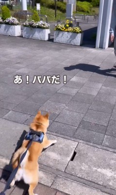 紋次郎くんとお父さんの再会2