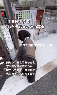 ボンドくん＆アルくんとお父さんの再会