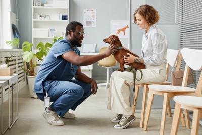 動物病院に来ている犬