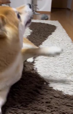 そのままの勢いでバーン！