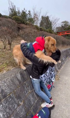 高いところに登りたがる空くん7