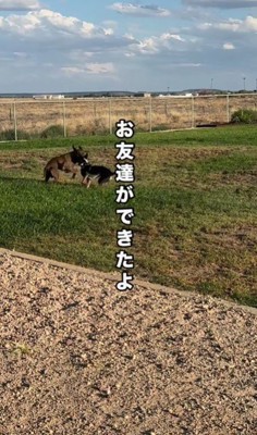 初めての友達