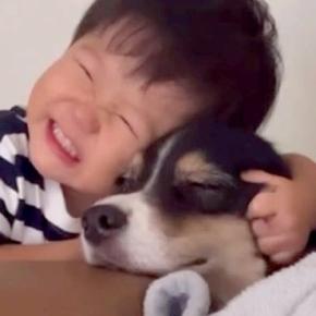 小さな男の子が『生まれた瞬間から犬と一緒に育った』結果…体調不良の時に見せた『あまりにも愛おしい行動』が228万再生「相思相愛」と絶賛