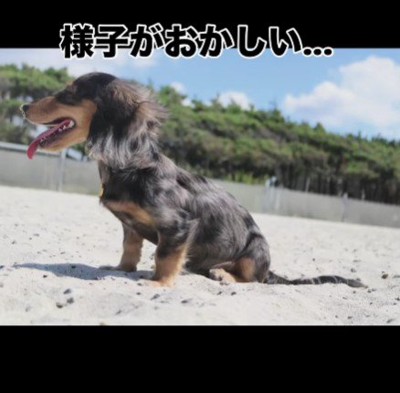様子がおかしい…