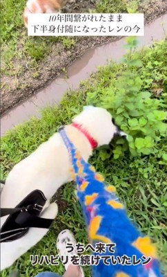 リハビリを開始！