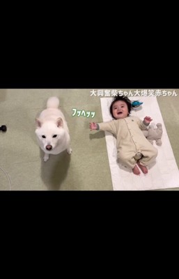 はしゃぐおまめ君＆笑う赤ちゃん6