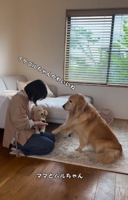 ヤキモチを焼くハルちゃん