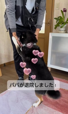 あずきちゃんとお父さんの再会3