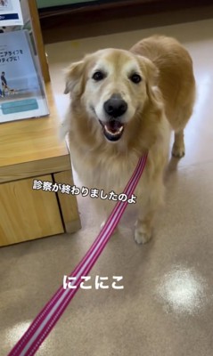 ニッコニコ