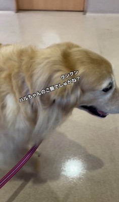 興味津々