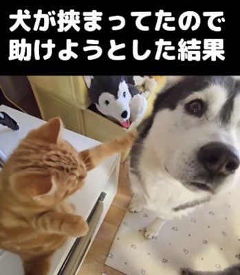 そこにおるんかい！