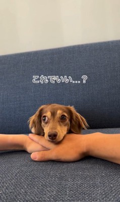 ティアちゃんの手を重ねるチャレンジ8