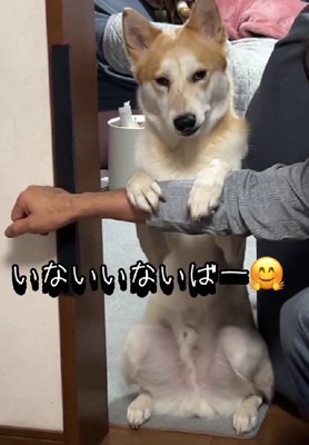 え…イケメン…！