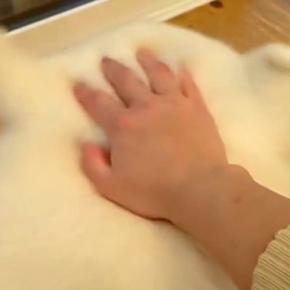 『耳が柔らかすぎる大型犬』頭を撫でていたら…想像以上だった『あまりにも可愛すぎる光景』に4万いいねの反響「たまらん」「ずっと見てたい」
