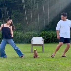 『パパとママが逆方向に走ったら、犬はどちらについてくるのか?』を検証→切なすぎる結果と『まさかの展開』が250万再生「全員可愛い」と反響