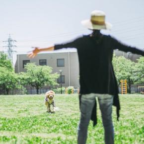 犬と公園に行ったときの『絶対NG行為』6選　揉め事の原因となる危険行動とは？