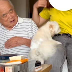 おじいちゃんのことが大好きすぎる犬→お姉ちゃんに隣を奪われた結果…嫉妬でブチギレまくる光景が152万再生「差がすごいｗ」「表情違いすぎ」