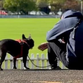 おばあちゃんが亡くなり１週間の緊急帰国→犬と離れ離れになり…涙あふれる『再会の瞬間』とまさかの変化が26万再生「泣けた」「寂しかったね」