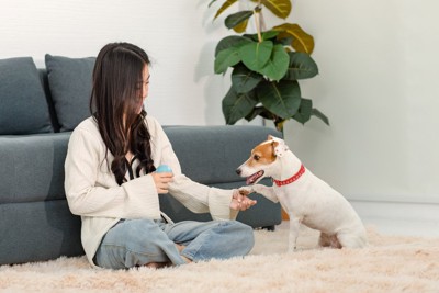 女性とオテをする犬