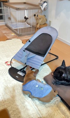 てんてん君＆あむちゃんのハプニング⑩