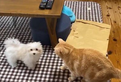 優しい
