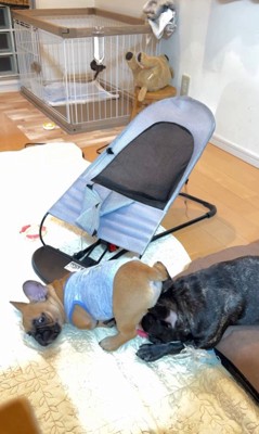 てんてん君＆あむちゃんのハプニング8