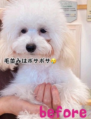 6ヶ月間も売れ残った