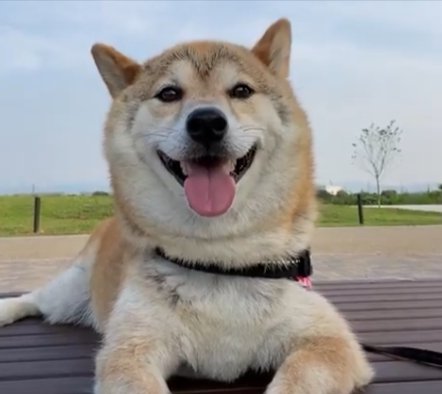 穏やかな
