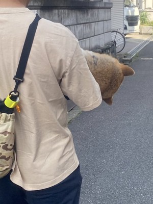 大丈夫か…！？