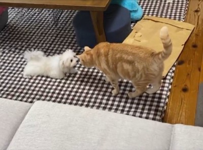 ご挨拶