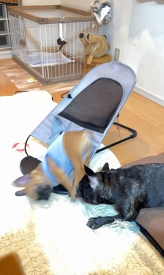 てんてん君＆あむちゃんのハプニング6