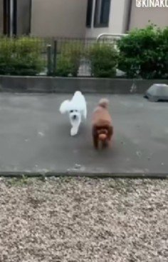 仲間がいると楽しいね♪