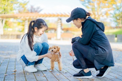 散歩中の犬とふれ合う女性