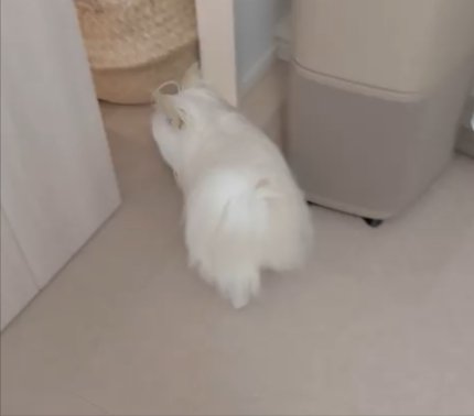 退場して…