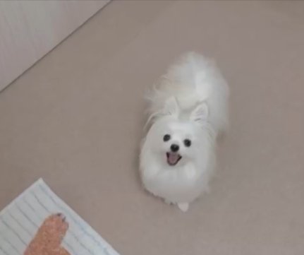 再び