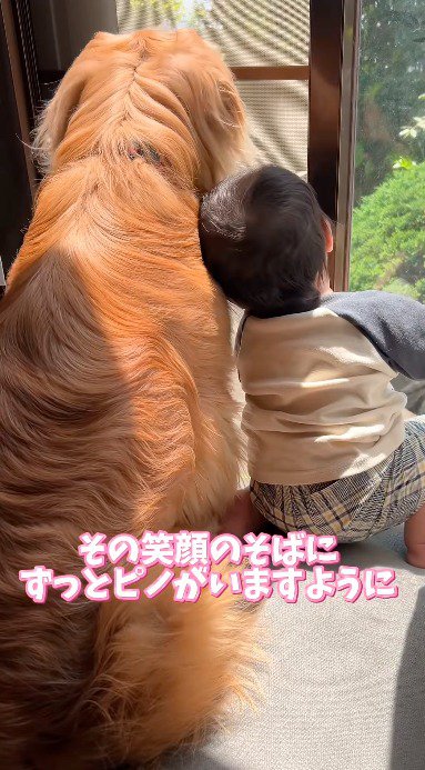 窓から外を見ている犬にもたれかかる赤ちゃん