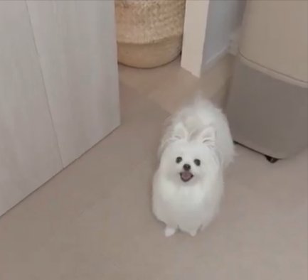 登場