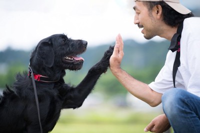 犬とハイタッチする男性