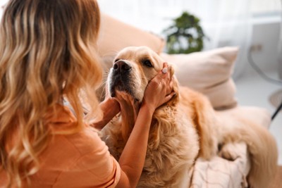 犬の顔を手で包む女性