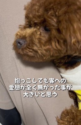 半年間、愛を注ぐと…
