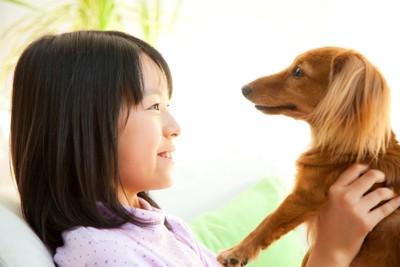 犬をだっこして見つめあう少女