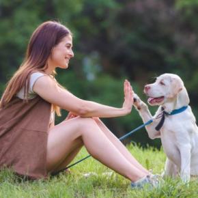 愛犬と相思相愛になるための『声のかけ方』5選　絆を深めるための重要なポイントとは？