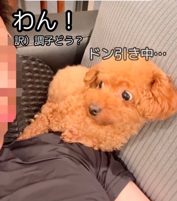 ワン！と声をかける