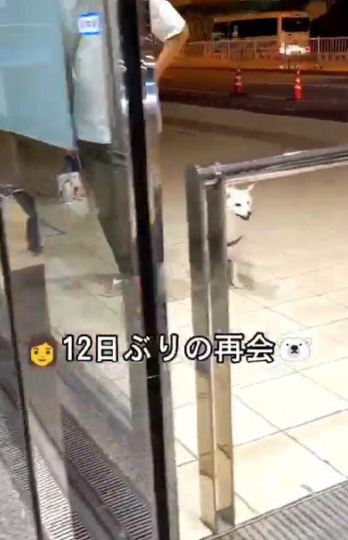 12日ぶりの再会なのに…