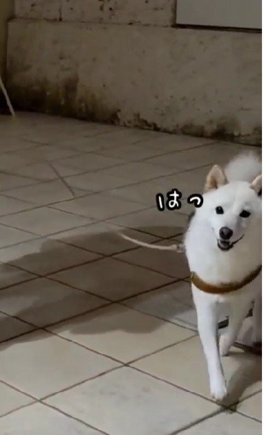 確信を持てた瞬間！！