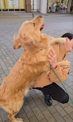 サンタくんがパパに気づくのか検証⑩