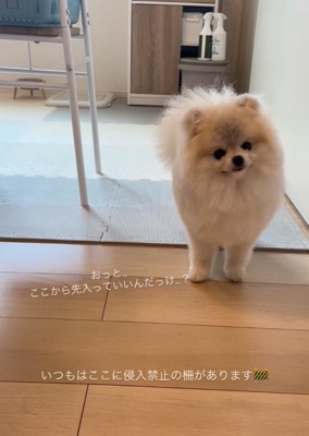 こちらをチラ見