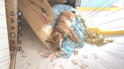 ハルヱちゃんの反省の仕方⑩